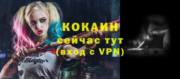 сатива Киреевск