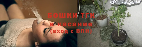 сатива Киреевск
