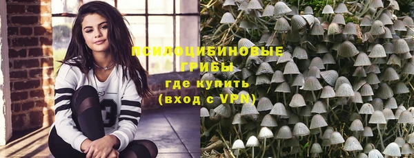 дурь Касимов