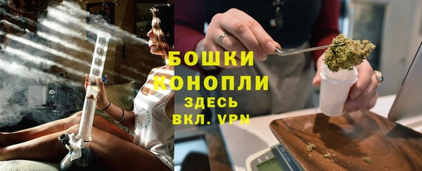 сатива Киреевск