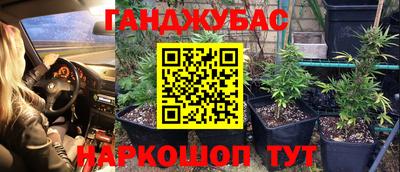 герыч Бийск