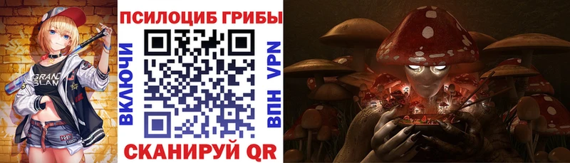 хочу Чита Псилоцибиновые грибы мицелий