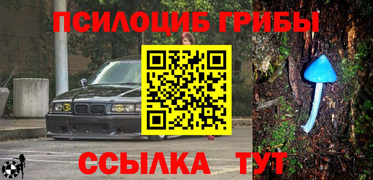 Чита  Галлюциногенные грибы Psilocybine cubensis  Вход с VPN 